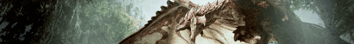 Header Banner